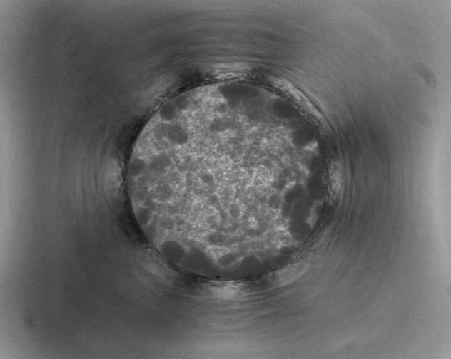 X0000116440667201001051206