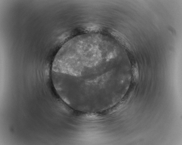 X0000116440668201001051206