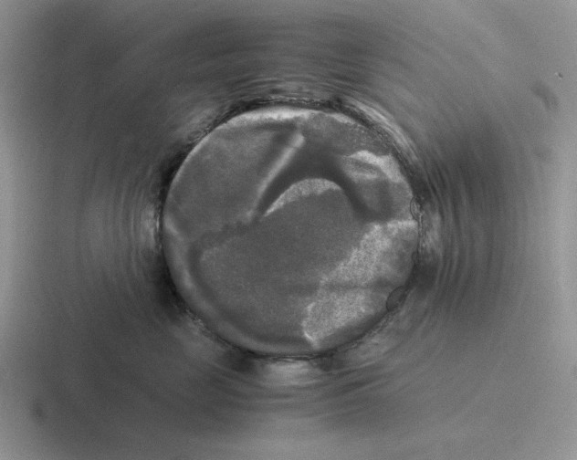 X0000116440669201001051206