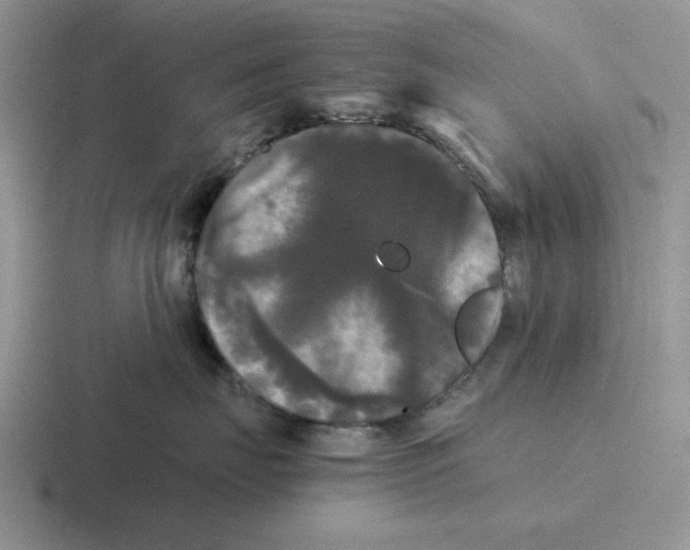 X0000116440671201001051206