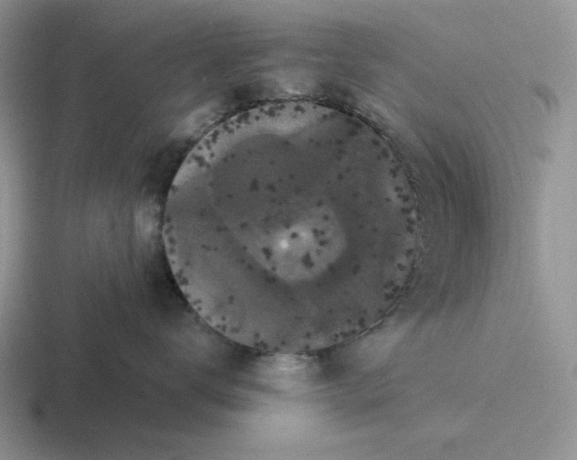 X0000116440672201001051206