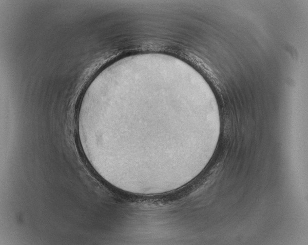 X0000116440673201001051205