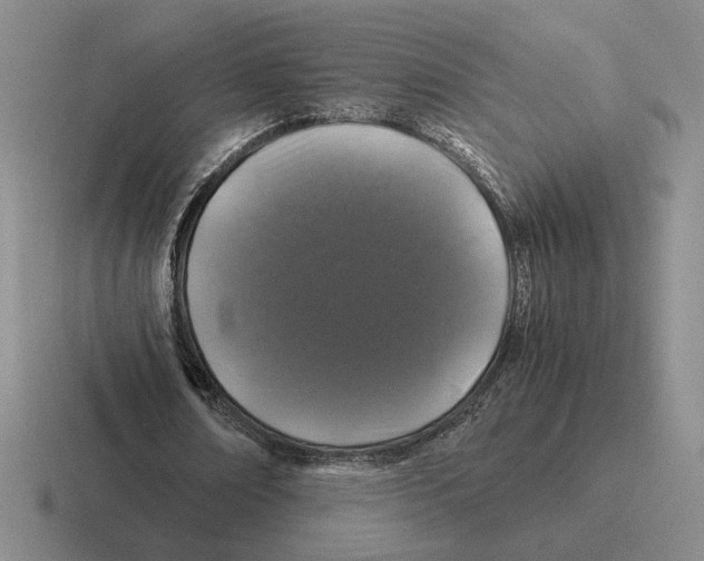 X0000116440674201001051205