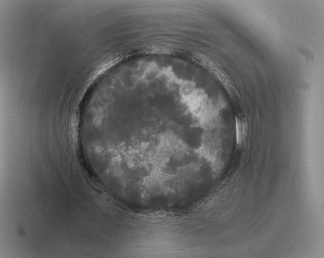 X0000116440675201001051205