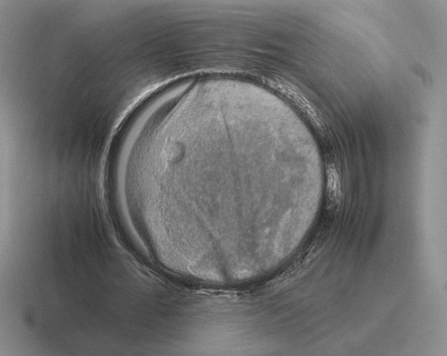 X0000116440676201001051205