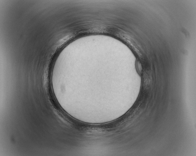 X0000116440677201001051205