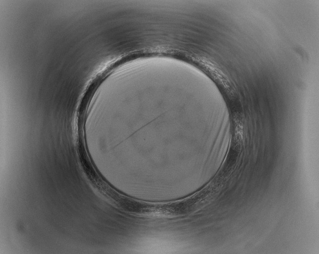 X0000116440678201001051205