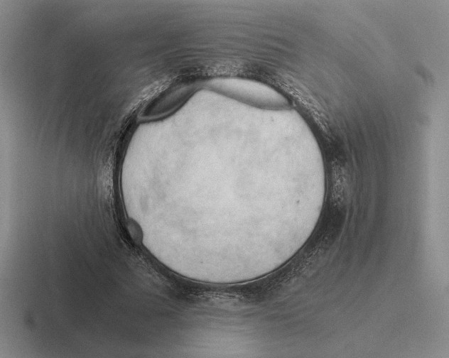 X0000116440681201001051205