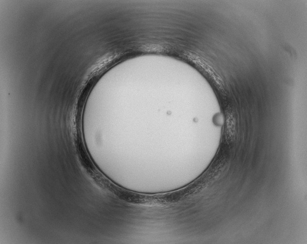 X0000116440682201001051205