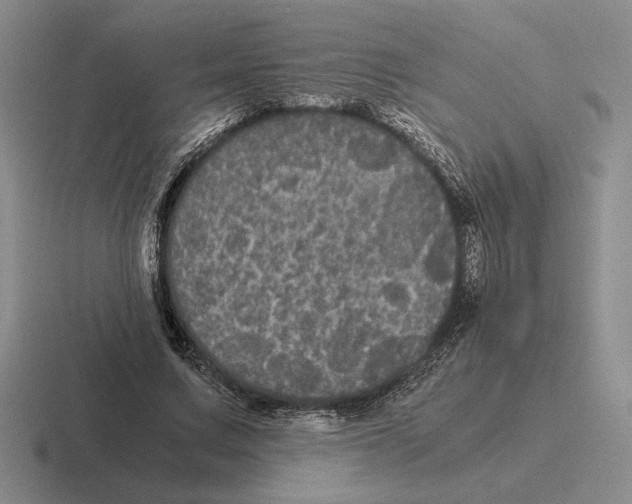 X0000116440683201001051205