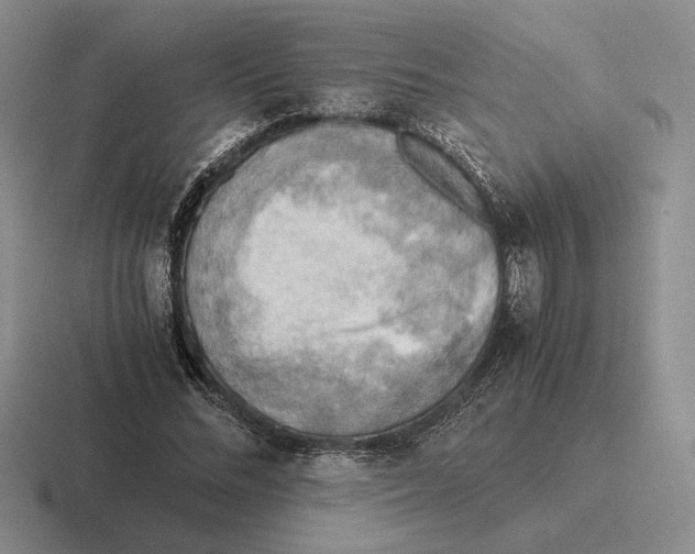 X0000116440684201001051205