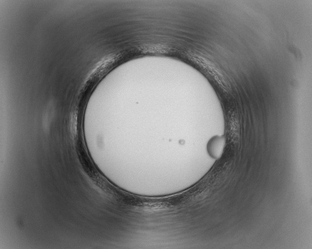 X0000116440686201001051205