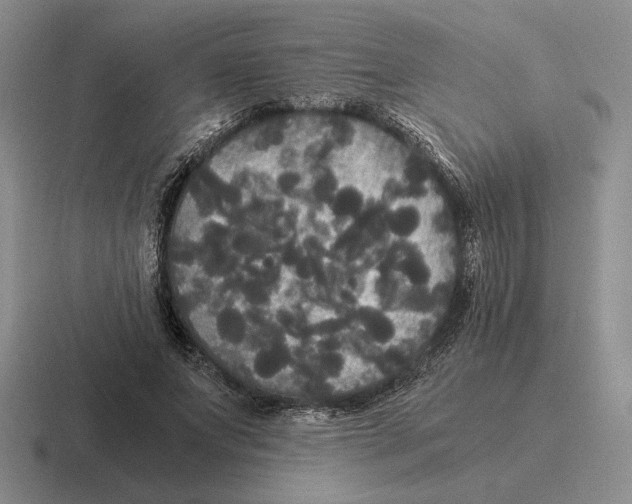 X0000116440687201001051205