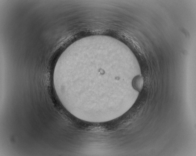 X0000116440689201001051205