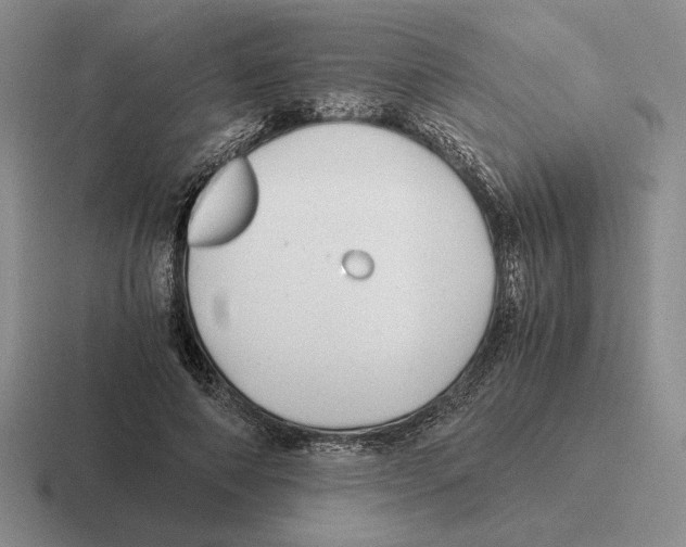 X0000116440690201001051205