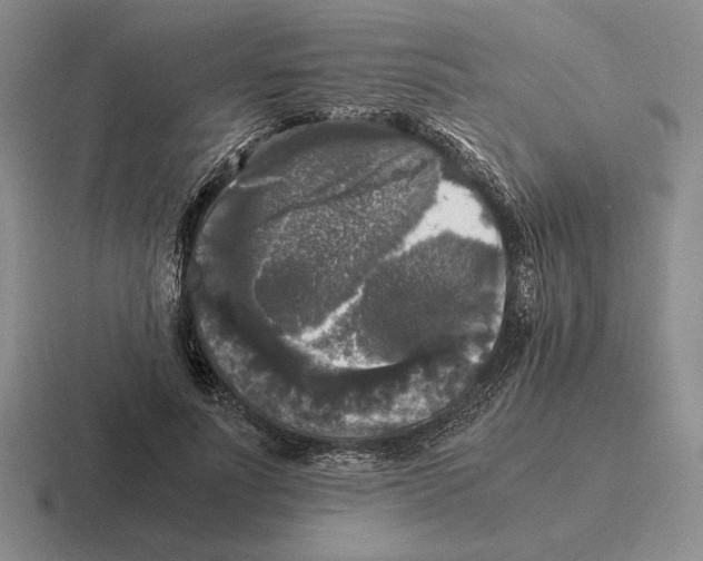 X0000116440691201001051205