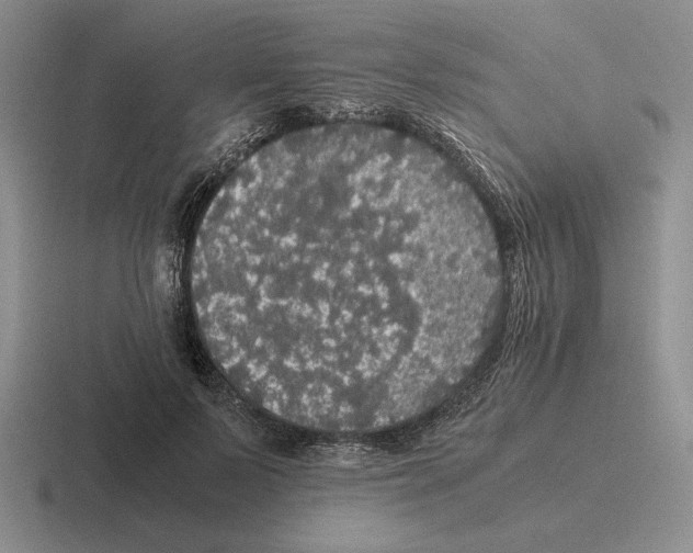 X0000116440695201001051205