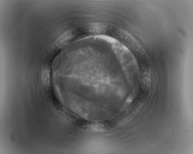 X0000116440696201001051205