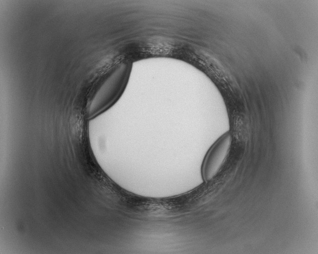 X0000116440697201001051205