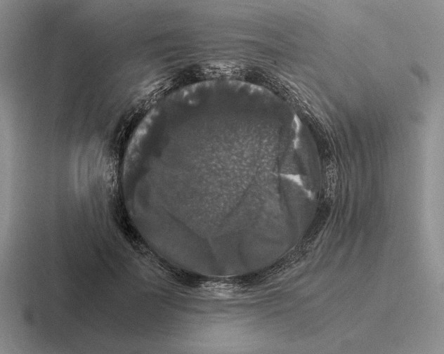 X0000116440699201001051205