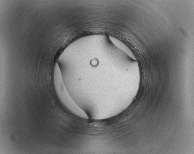 X0000116440700201001051205