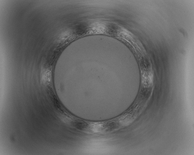 X0000116440701201001051205