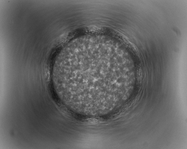 X0000116440703201001051205