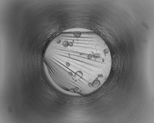 X0000116440704201001051205