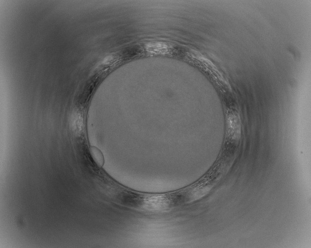 X0000116440705201001051205