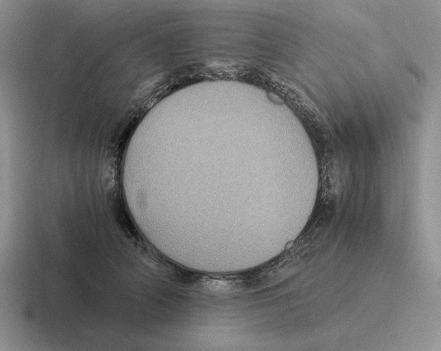 X0000116440706201001051205