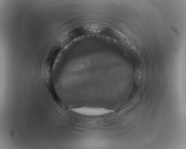 X0000116440707201001051205