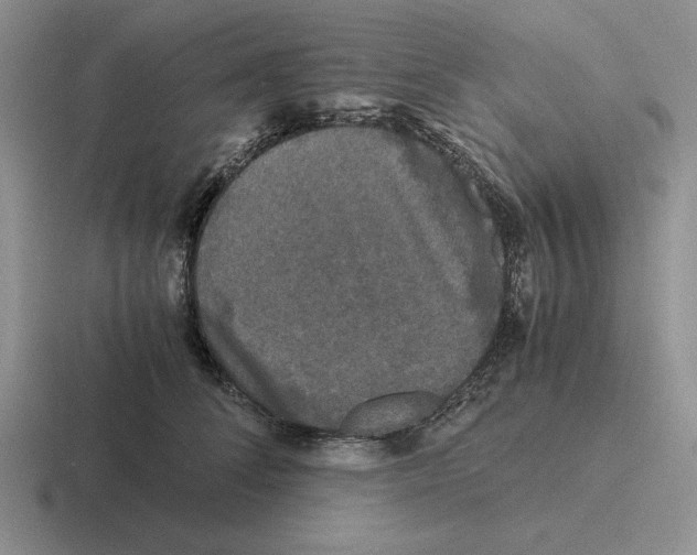 X0000116440708201001051205