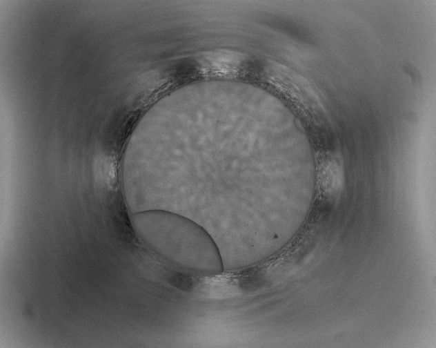 X0000116440709201001051205