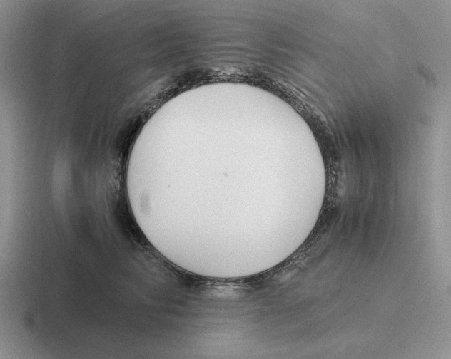 X0000116440710201001051205