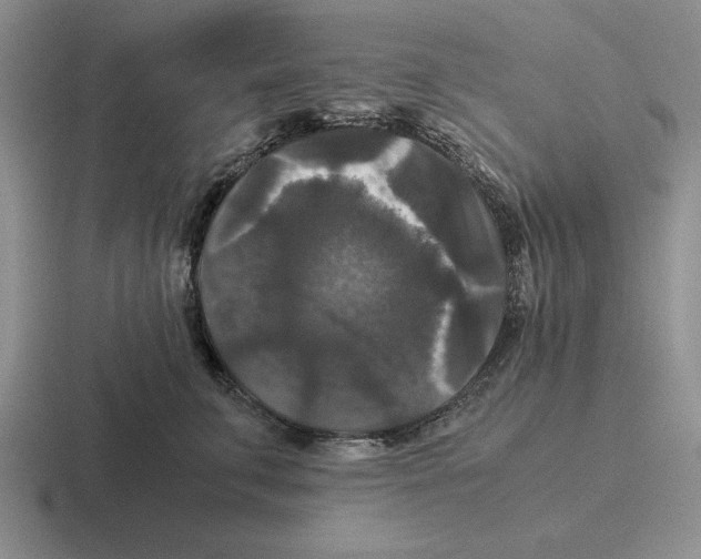 X0000116440711201001051205