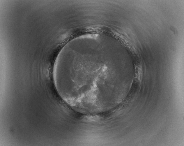 X0000116440712201001051205