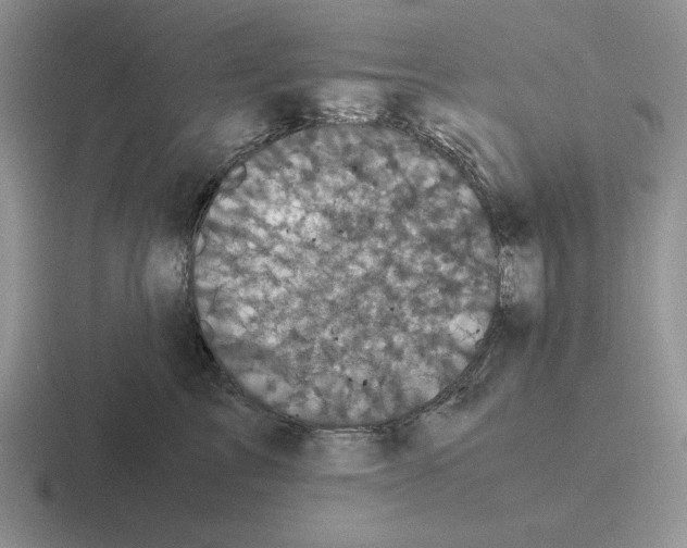 X0000116440713201001051205