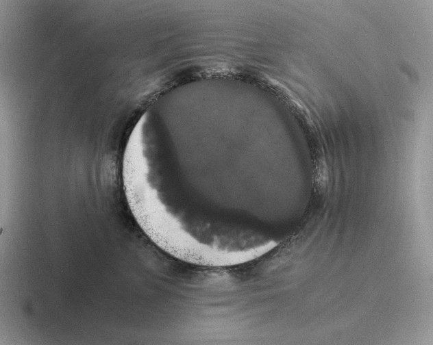 X0000116440715201001051205