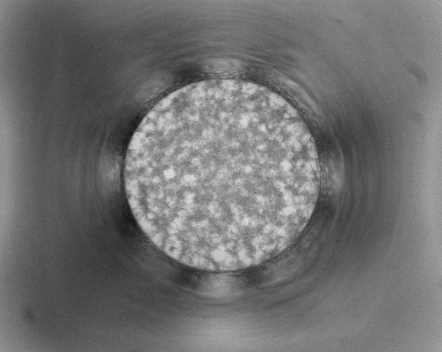 X0000116440717201001051205