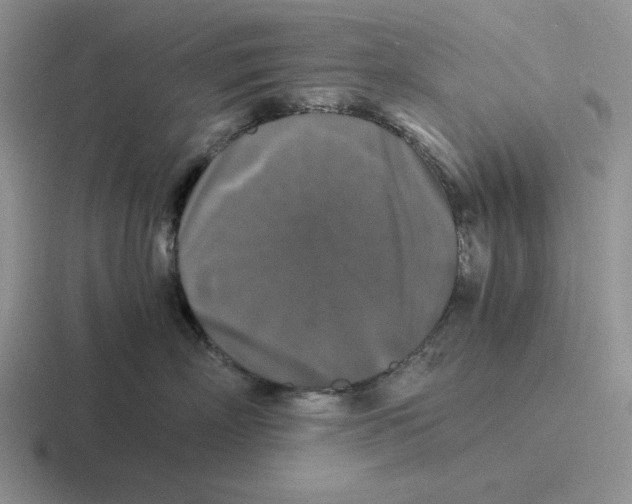 X0000116440718201001051205