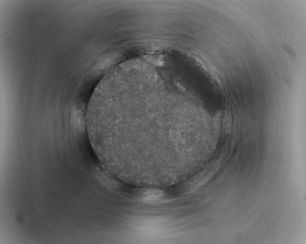 X0000116440719201001051205