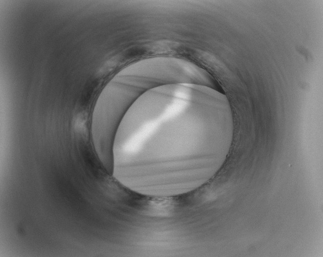 X0000116440720201001051205