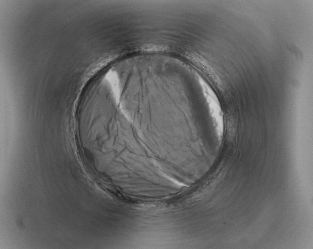 X0000116440721201001051204