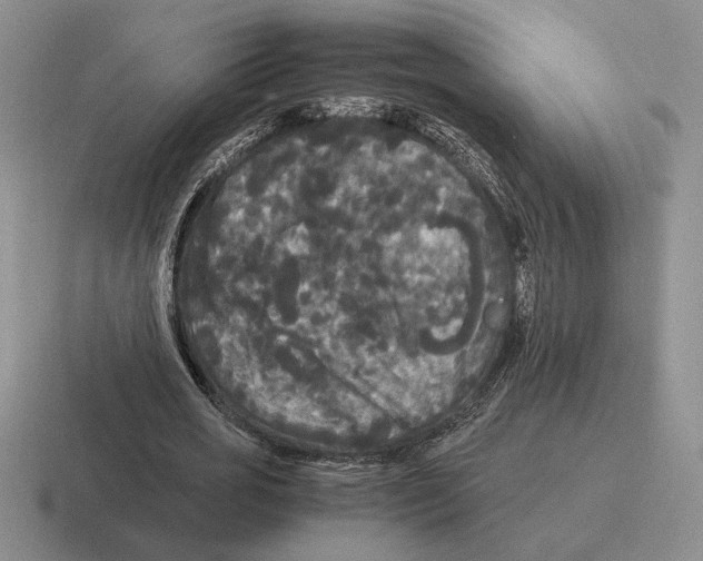 X0000116440725201001051204