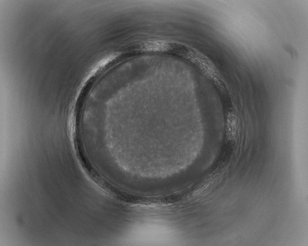 X0000116440726201001051204