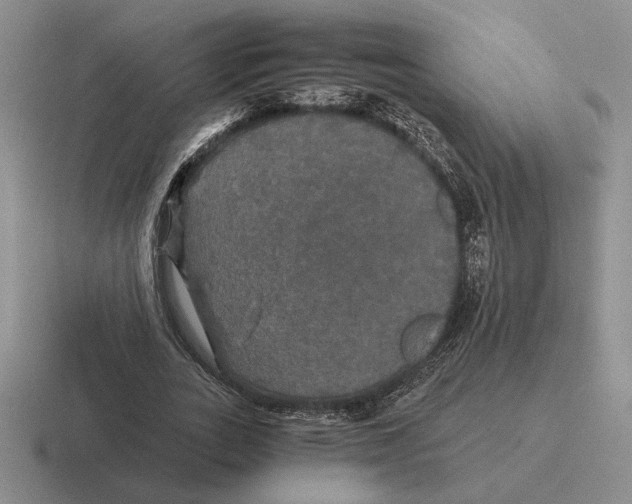 X0000116440727201001051204