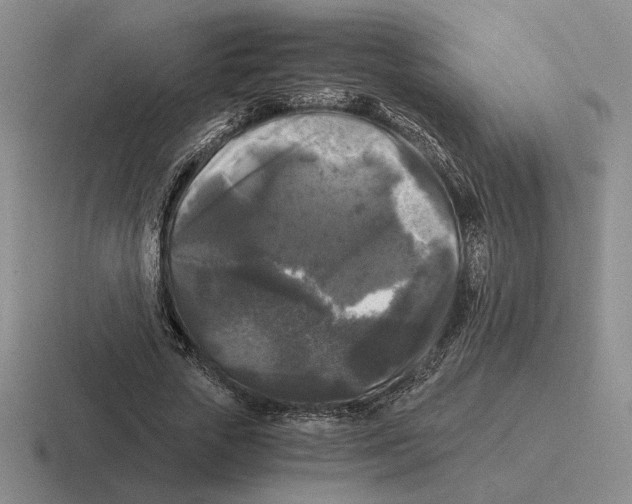 X0000116440729201001051204