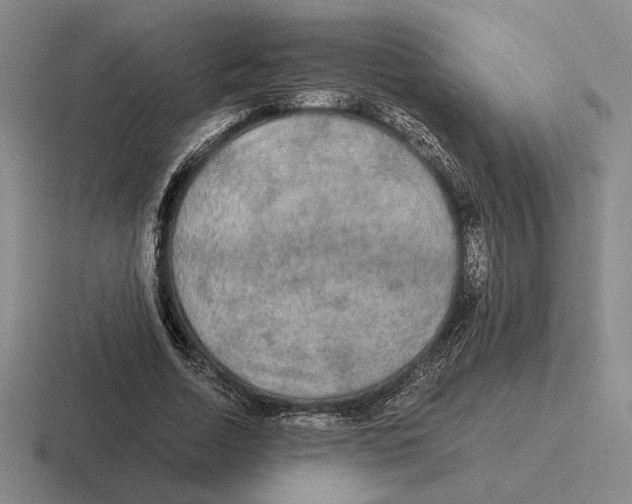 X0000116440730201001051204