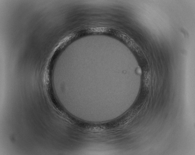 X0000116440731201001051204