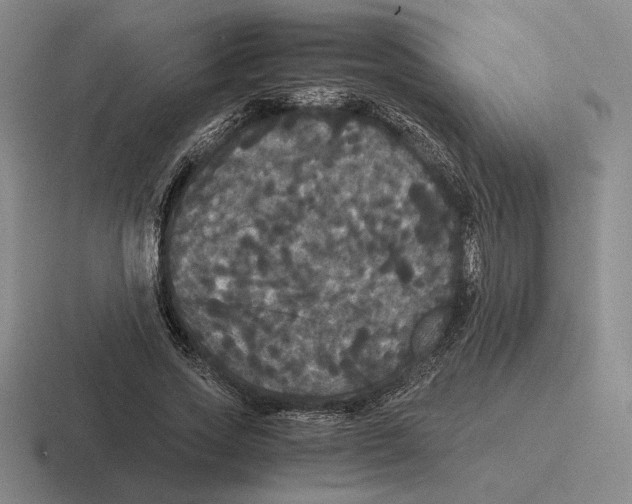 X0000116440733201001051204